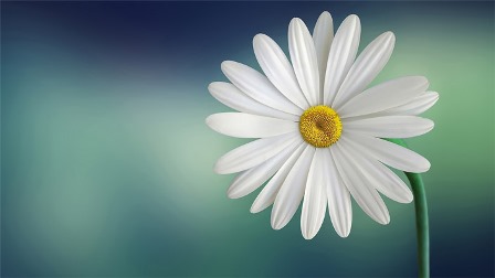 Daily use of the Soul