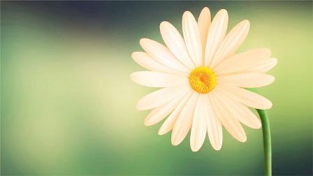 Use of the Soul for Healing