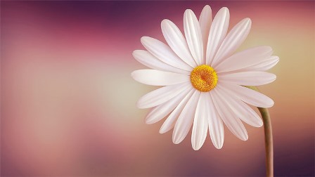 Use of the Soul for Relationships