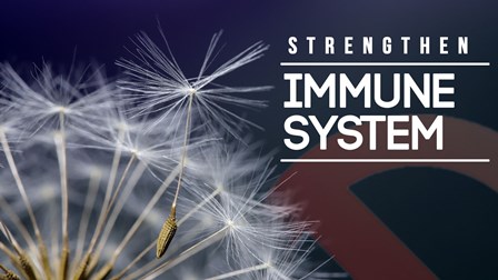 Strengthen the Immune System